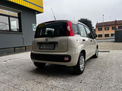 Fiat Panda Panda 1.2 easy 69cv e6 Beige usata Torino