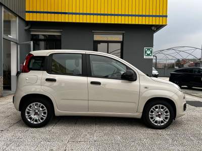 Fiat Panda Panda 1.2 easy 69cv e6 Beige usata Torino