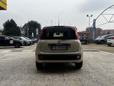 Fiat Panda Panda 1.2 easy 69cv e6 Beige usata Torino