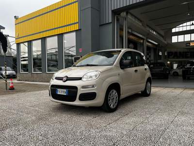 Fiat Panda Panda 1.2 easy 69cv e6 Beige usata Torino