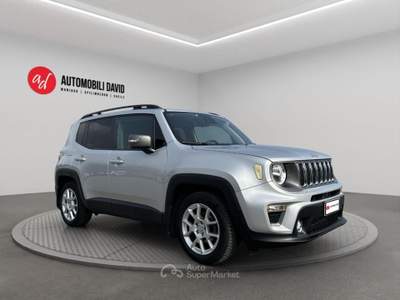 Jeep Renegade 1.6 Mjt 120 CV Limited Argento usata Maniago