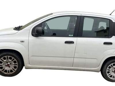 Fiat Panda 1.2 EasyPower Lounge GPL DELLA CASA Bianco usata Rivignano Teor