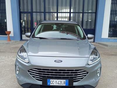 Ford Kuga EcoBlue 120 CV 2WD Titanium Business Grigio usata CERIGNOLA