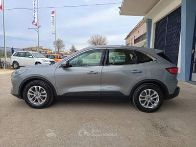 Ford Kuga EcoBlue 120 CV 2WD Titanium Business Grigio usata CERIGNOLA
