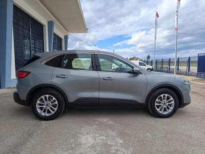 Ford Kuga EcoBlue 120 CV 2WD Titanium Business Grigio usata CERIGNOLA