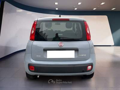 Fiat Panda III 2021 1.0 firefly hybrid s&s 70cv Grigio usata Torino