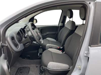 Fiat Panda III 2021 1.0 firefly hybrid s&s 70cv Grigio usata Torino