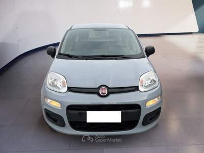 Fiat Panda III 2021 1.0 firefly hybrid s&s 70cv Grigio usata Torino