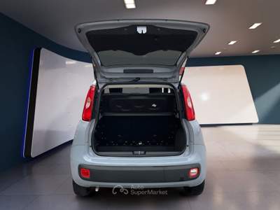 Fiat Panda III 2021 1.0 firefly hybrid s&s 70cv Grigio usata Torino