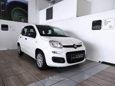 Fiat Panda  - panda 1.0 firefly s&s hybrid icon Bianco usata LEGNANO