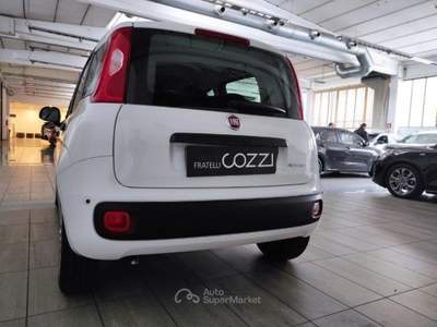 Fiat Panda  - panda 1.0 firefly s&s hybrid icon Bianco usata LEGNANO