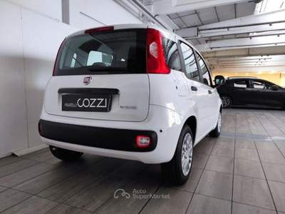 Fiat Panda  - panda 1.0 firefly s&s hybrid icon Bianco usata LEGNANO