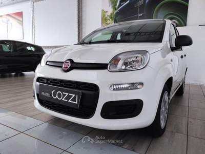 Fiat Panda  - panda 1.0 firefly s&s hybrid icon Bianco usata LEGNANO