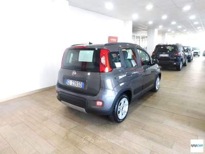 Fiat Panda 1.0 FireFly S&S Hybrid City Life Grigio usata Isola del Liri