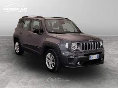 Jeep Renegade 1.6 Multijet II Limited 2WD Grigio usata Lucca