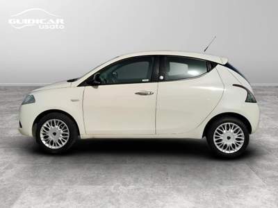 Lancia Ypsilon 1.2 Ecochic Gold Beige usata Lucca