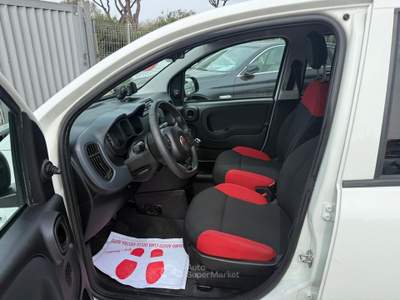Fiat Panda Easy Van 2 Posti Clima Prezzo+iva Bianco usata Roma