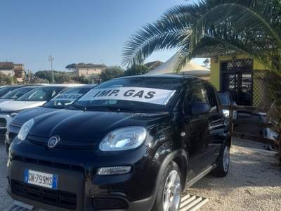 Fiat Panda FireFly S&S Hybrid 2024'' Nero usata Castel Gandolfo