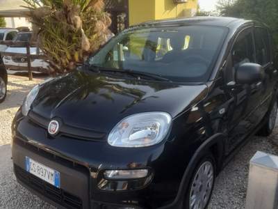 Fiat Panda FireFly S&S Hybrid 2024'' Nero usata Castel Gandolfo