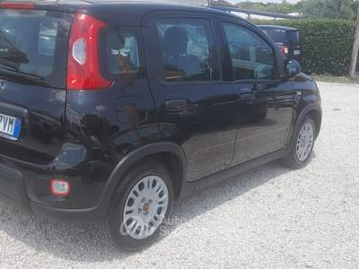 Fiat Panda FireFly S&S Hybrid 2024'' Nero usata Castel Gandolfo