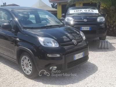 Fiat Panda FireFly S&S Hybrid 2024'' Nero usata Castel Gandolfo