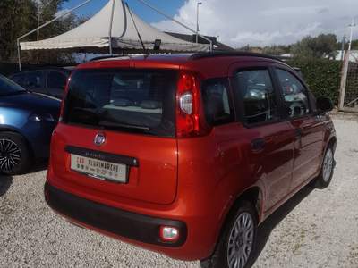 Fiat Panda Lounge Rosso usata Castel Gandolfo