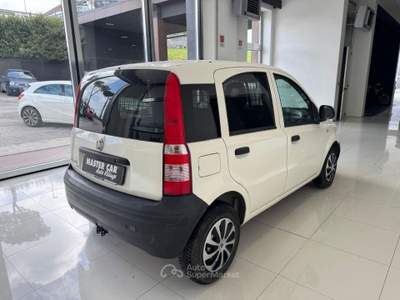 Fiat Panda 1.2 Active Bianco usata Ripalimosani