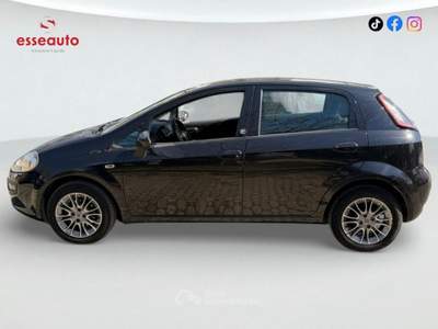 Fiat Punto Evo 5 porte S&S Dynamic Nero usata PISTOIA