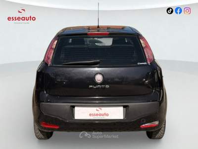 Fiat Punto Evo 5 porte S&S Dynamic Nero usata PISTOIA