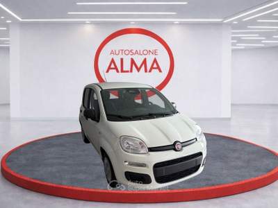 Fiat Pandina 1.0 FireFly 70cv S&S Hybrid Pop Bianco usata Castellanza