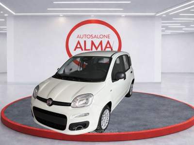 Fiat Pandina 1.0 FireFly 70cv S&S Hybrid Pop Bianco usata Castellanza