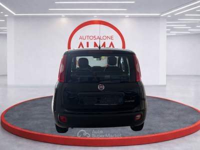 Fiat Pandina 1.0 FireFly 70cv S&S Hybrid Pop Nero usata Castellanza