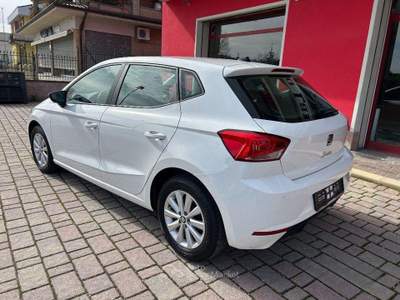 Seat Ibiza 5 porte Business usata San Ginesio