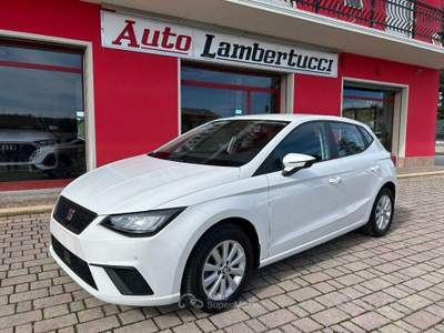 Seat Ibiza 5 porte Business usata San Ginesio