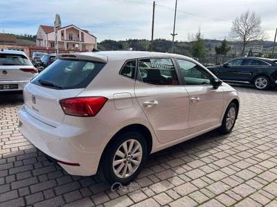 Seat Ibiza 5 porte Business usata San Ginesio