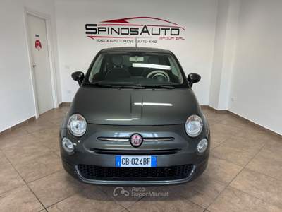 Fiat 500 Star Grigio usata Cellole
