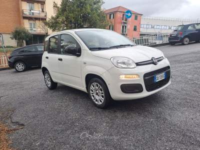 Fiat Panda 5 POSTI CON POGGIATESTA, POCHI KM, PREZZO REALE Bianco usata Savona