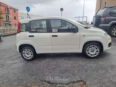 Fiat Panda 5 POSTI CON POGGIATESTA, POCHI KM, PREZZO REALE Bianco usata Savona