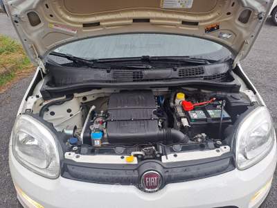 Fiat Panda 5 POSTI CON POGGIATESTA, POCHI KM, PREZZO REALE Bianco usata Savona