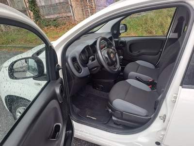 Fiat Panda 5 POSTI CON POGGIATESTA, POCHI KM, PREZZO REALE Bianco usata Savona