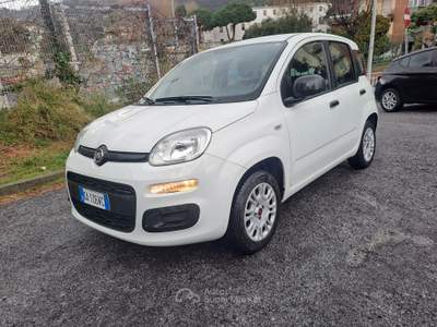 Fiat Panda 5 POSTI CON POGGIATESTA, POCHI KM, PREZZO REALE Bianco usata Savona