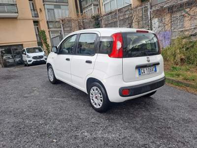 Fiat Panda 5 POSTI CON POGGIATESTA, POCHI KM, PREZZO REALE Bianco usata Savona