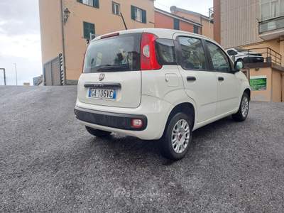 Fiat Panda 5 POSTI CON POGGIATESTA, POCHI KM, PREZZO REALE Bianco usata Savona