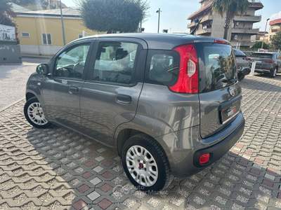 Fiat Panda Easy Grigio usata Sant'Anastasia