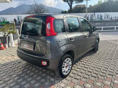 Fiat Panda Easy Grigio usata Sant'Anastasia