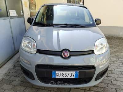 Fiat Panda 69CV EASY Grigio usata PORTE