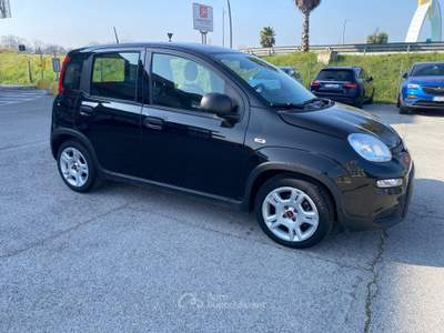 Fiat Panda MHYBRID - OTTIME CONDIZIONI Nero usata Grottammare