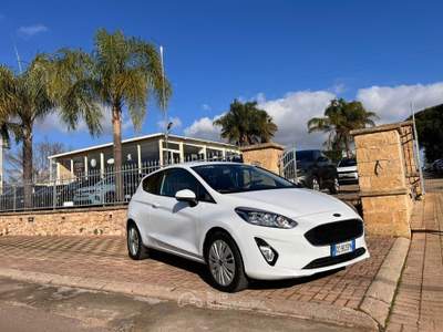 Ford Fiesta 3 porte Van Trend Bianco usata Sannicola