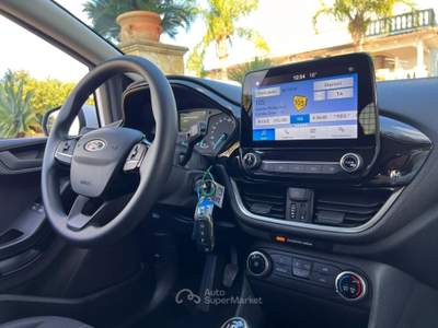 Ford Fiesta 3 porte Van Trend Bianco usata Sannicola