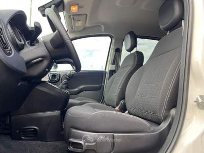 Fiat Panda Cross 1.0 FireFly S&S Hybrid Bianco usata Sannicola